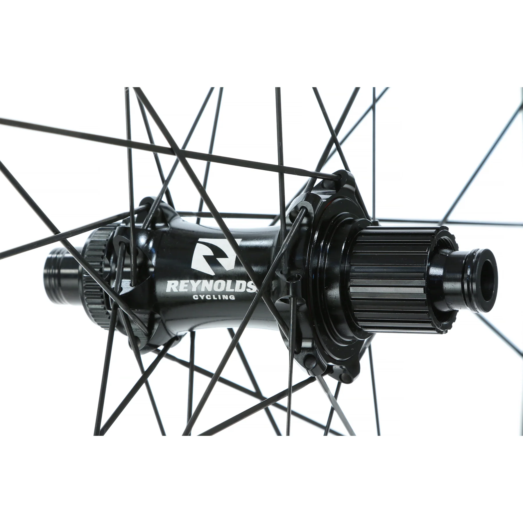 Blacklabel 329 Trail Expert - Image 6