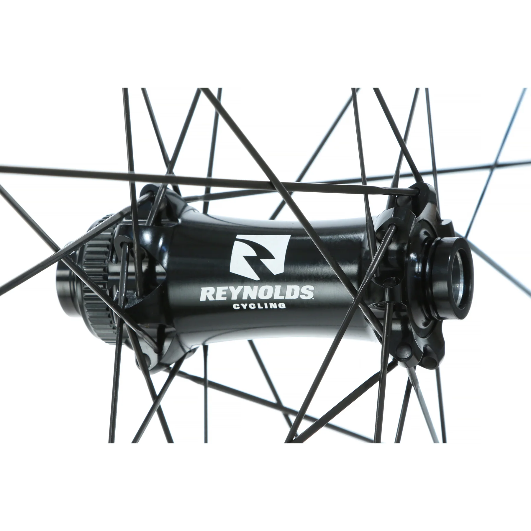 Blacklabel 329 Trail Expert - Image 7